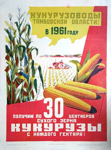 Кукурузоводы Тамбовской области, в  1961 году получим по 30 центнеров сухого зерна кукурузы с каждого гектара!