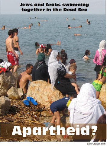 Арабы и евреи купаются вместе в Мёртвом море