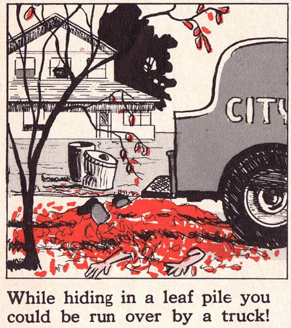 Пока вы прячетесь в куче листьев, вас может переехать грузовик
